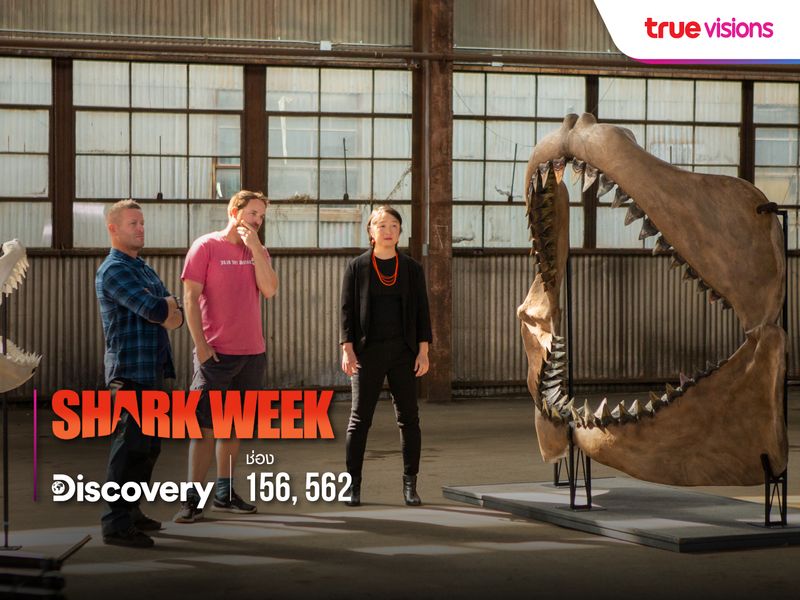 Shark Week 2023