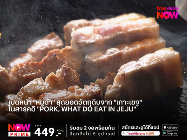 เปิดหน้า "หมูดำ" สุดยอดวัตถุดิบจาก "เกาะเชจู" ในสารคดี "Pork, What do Eat in Jeju"