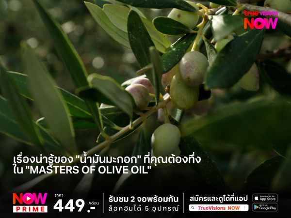 เรื่องน่ารู้ของ "น้ำมันมะกอก" ที่คุณต้องทึ่งใน "Masters of Olive Oil"