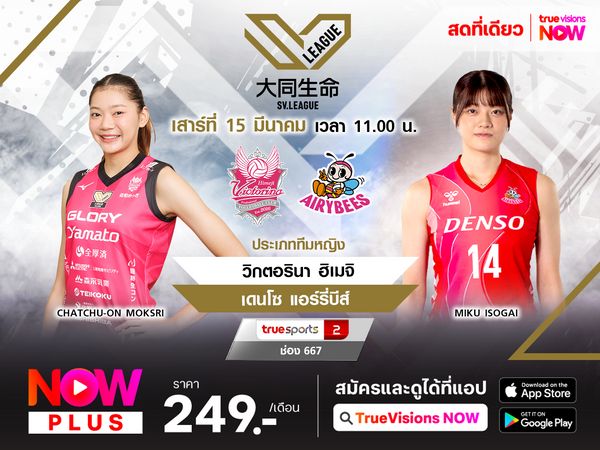 พรีวิว : วิกตอรินา ฮิเมจิ พบ พบ เดนโซ แอร์รี่บีส์  
