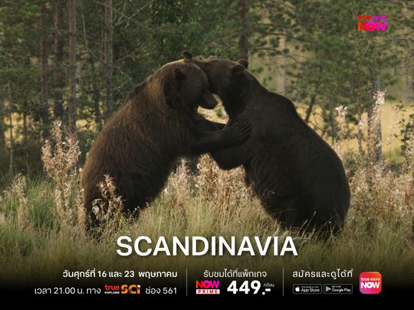 Scandinavia