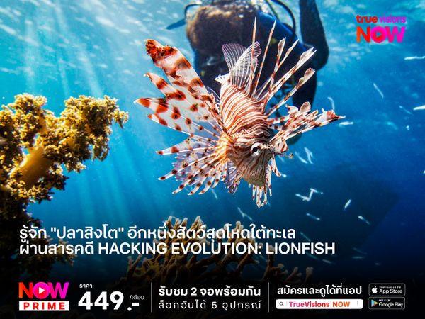รู้จัก "ปลาสิงโต" อีกหนึ่งสัตว์สุดโหดใต้ทะเลผ่านสารคดี Hacking Evolution: Lionfish