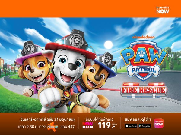 Paw Patrol: Fire Rescue Specials