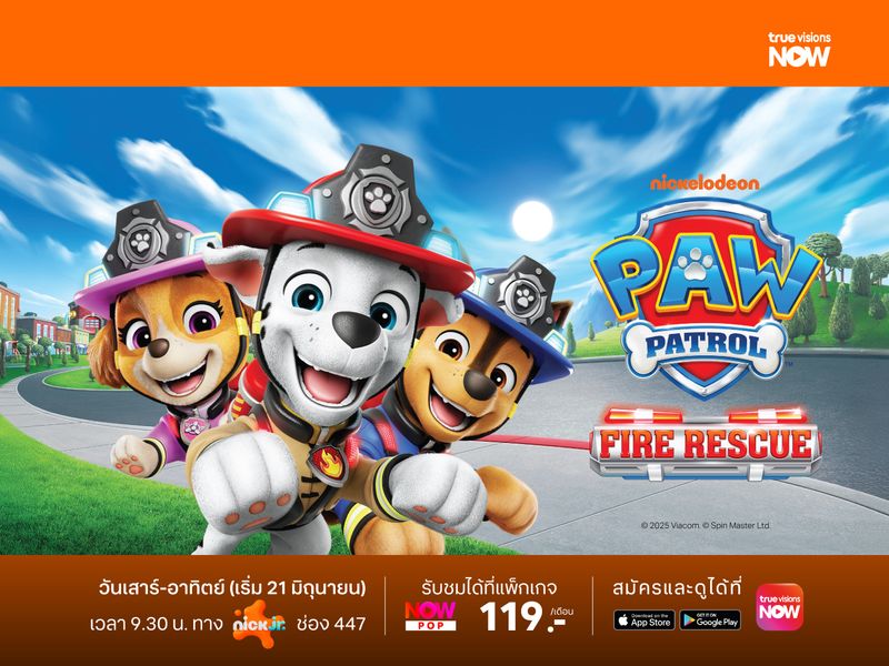Paw Patrol: Fire Rescue Specials