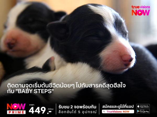 ติดตามจุดเริ่มต้นชีวิตน้อยๆ ไปกับสารคดีสุดฮีลใจกับสารคดี "Baby Steps"