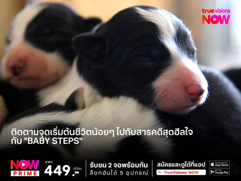 ติดตามจุดเริ่มต้นชีวิตน้อยๆ ไปกับสารคดีสุดฮีลใจกับสารคดี "Baby Steps"