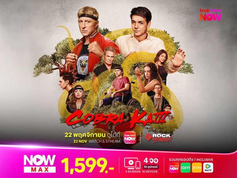 Cobra Kai Season 3