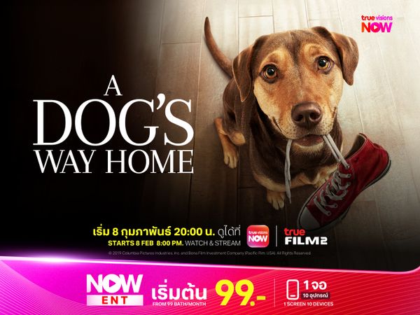A Dog’s Way Home