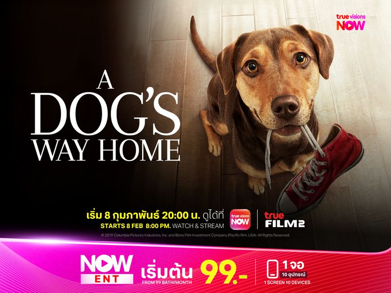 A Dog’s Way Home