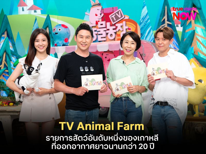TV Animal Farm รายการสัตว์อันดับหนึ่งของเกาหลี ที่ออกอากาศยาวนานกว่า 20 ปี