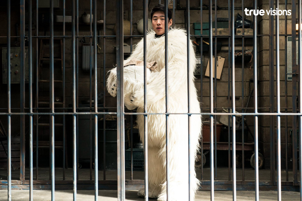 Secret Zoo (เฟค Zoo สู้โว้ย)